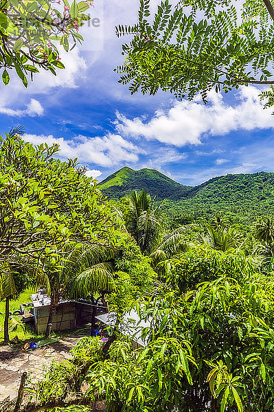 Papua-Neuguinea  Provinz Ost-Neubritannien  Rabaul  Hütten umgeben von grünem  üppigem Wald auf der Insel New Britain