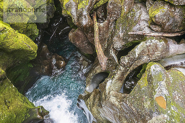 Neuseeland  Ozeanien  Südinsel  Southland  Fiordland National Park  Cleddau Fluss und Wasserfall