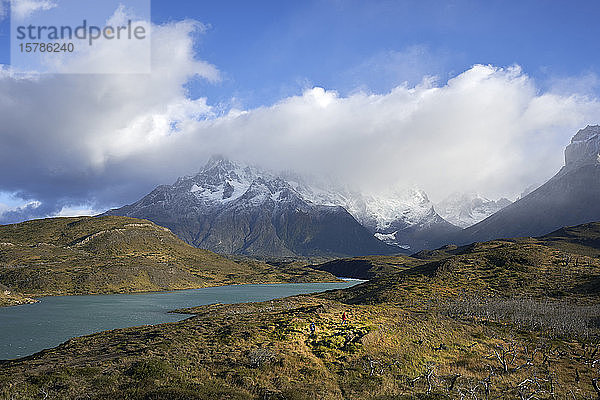 Chile  Provinz Ultima Esperanza  Wolken über dem See und dem toten Wald im Torres del Paine Nationalpark