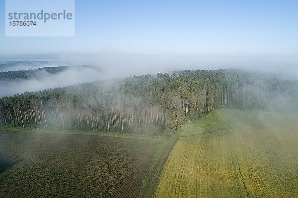 Deutschland  Bayern  Franken  Luftaufnahme von Feldern und Wäldern  die am Morgen mit Nebel bedeckt sind