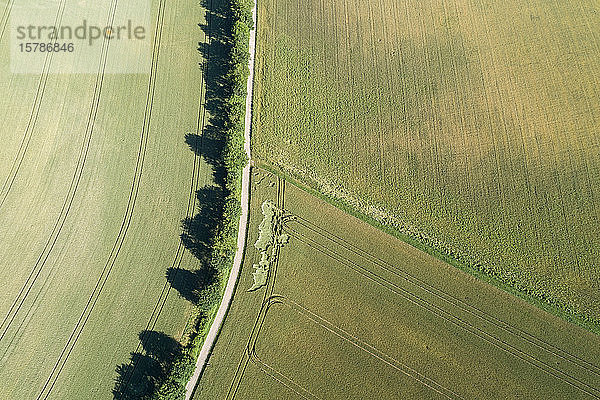 Deutschland  Bayern  Franken  Luftaufnahme der grünen Felder und des Feldweges