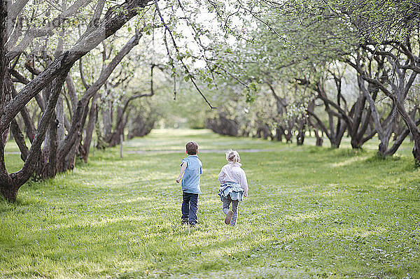 Rückenansicht eines kleinen Jungen und eines Mädchens  die nebeneinander auf einer Wiese laufen