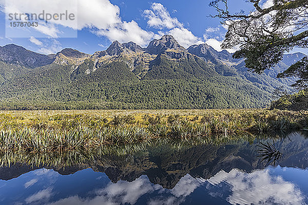 Neuseeland  Landschaftsansicht von Mirror Lakes und bewaldeten Bergen im Fiordland National Park