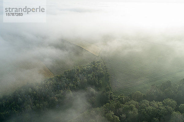 Deutschland  Bayern  Franken  Luftaufnahme von Feldern und Wäldern  die am Morgen mit Nebel bedeckt sind