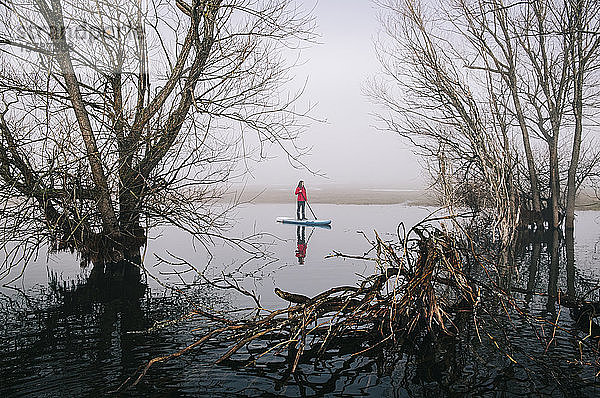 Junge Frau steht beim Paddel-Surfen auf einem See im Nebel auf