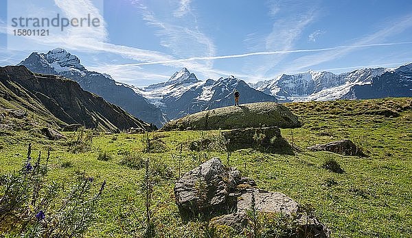 Wanderer steht auf einem grossen Felsen  hinter ihm schneebedecktes Schreckhorn und Wetterhorn  Grindelwald  Bern  Schweiz  Europa