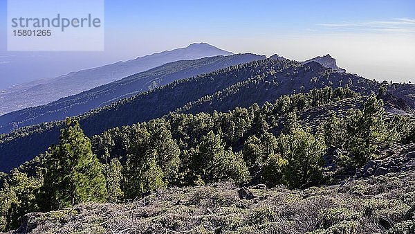Blick vom Pico de la Nieve nach Süden  La Palma  Kanarische Inseln  Spanien  Europa