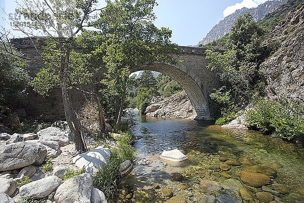 Alte genuesische Brücke in der Spelunca-Schlucht  Korsika  Frankreich  Europa