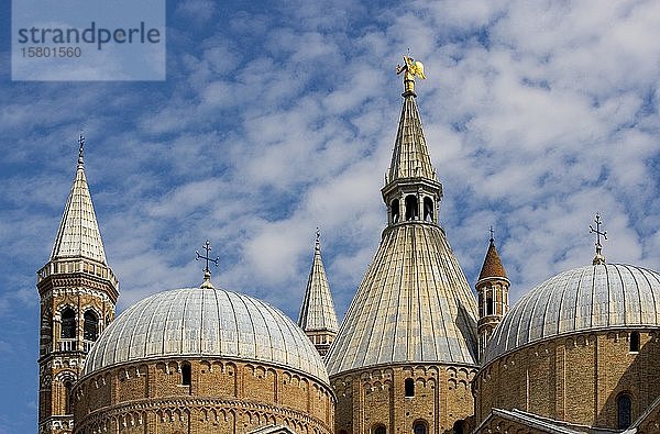 Kuppeln und Kampanile  Basilika des Heiligen Antonius  Basilika des Heiligen Antonius  Padua  Provinz Padua  Venetien  Italien  Europa