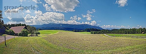 Voralpenlandschaft im Pfaffenwinkel mit Heuwiese  Wallfahrtskirche zum Gegeißelten Heiland auf der Wies  Steingarten  Pfaffenwinkel  Bayern  Deutschland  Europa