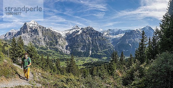 Wanderer auf dem Wanderweg zum Bachalpsee  hinter schneebedecktem Wetterhorn  Schreckhorn und Eiger  Grindelwald  Bern  Schweiz  Europa