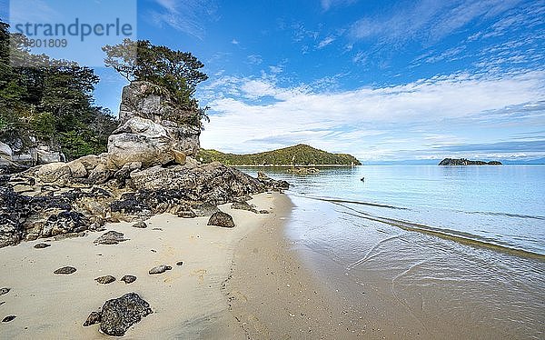 Bewachsener Felsen am Strand der Stillwell Bay  Abel Tasman National Park  Tasman  Südinsel  Neuseeland  Ozeanien