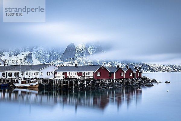 Rorbuer Hütten von Hamnoy am Fjord  Hamnøy  Moskenesøya  Lofoten  Norwegen  Europa