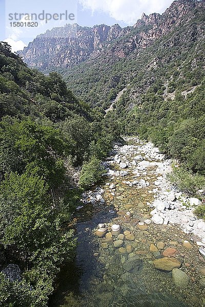 Gebirgsbach in der Spelunca-Schlucht  Korsika  Frankreich  Europa