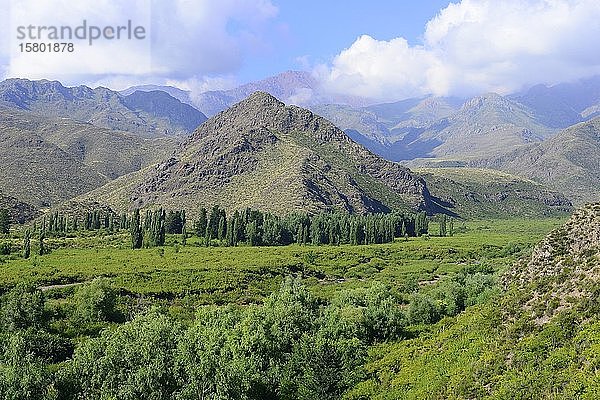 Landschaft im Valle de Uco  in der Nähe von Manzano Historico  Provinz Mendoza  Argentinien  Südamerika