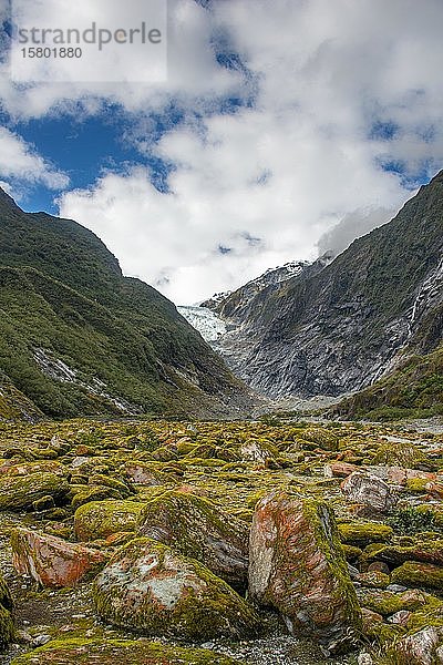 Mit Moos und roten Flechten bewachsene Felsen in der hinteren Gletscherzunge des Franz Josef Glacier  Westküste  Südinsel  Neuseeland  Ozeanien