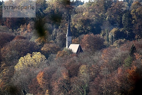 Kirche umgeben von Bäumen im Herbst  Heilig Kreuz  Burghausen  Oberbayern  Bayern  Deutschland  Europa
