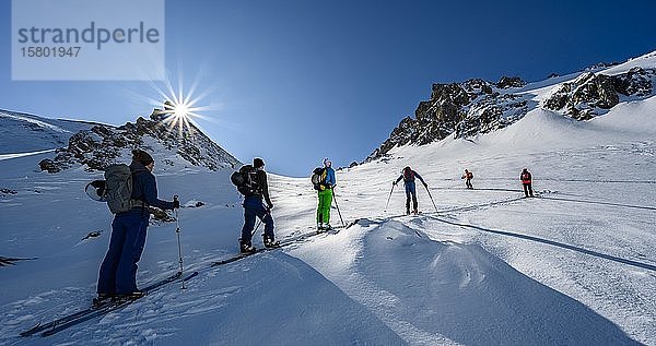 Gruppe von Skitourengehern  Aufstieg zur Geierspitze  Wattentaler Lizum  Tuxer Alpen  Tirol  Österreich  Europa