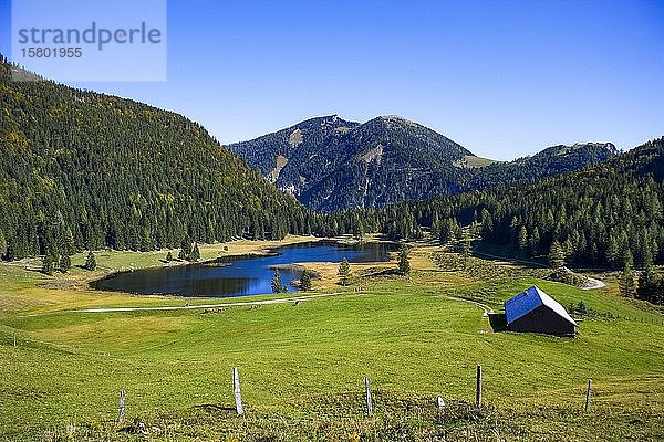 Bergsee  Seewaldsee  Tennengau  Bundesland Salzburg  Österreich  Europa