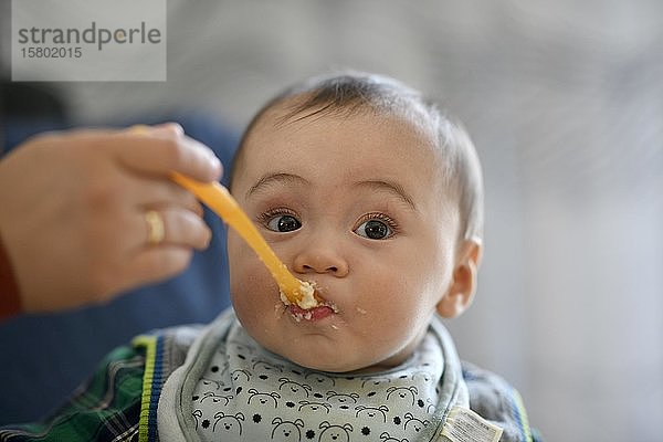 Kleinkind  6 Monate  multiethnisch  mit Brei gefüttert  Portrait  Baden-Württemberg  Deutschland  Europa
