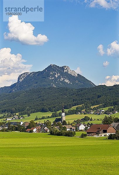 Thalgau mit Schober  Flachgau  Bundesland Salzburg  Österreich  Europa