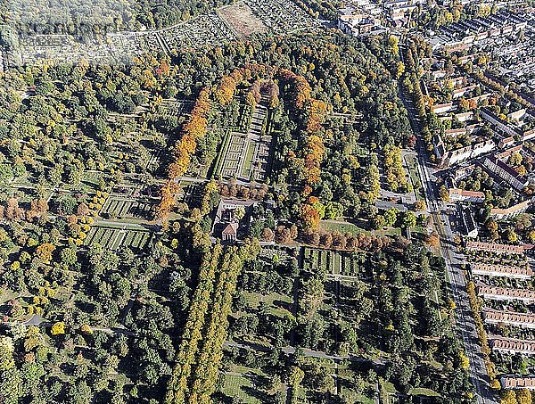 Stadtfriedhof Seelhorst  zentrale Lindenallee im Herbst  Hannover  Niedersachsen  Deutschland  Europa