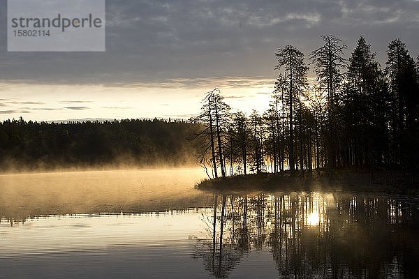 Sonnenaufgang mit Nebel an einem See in der finnischen Taiga  Kainuu  Nordkarelien  Kuhmo  Finnland  Europa
