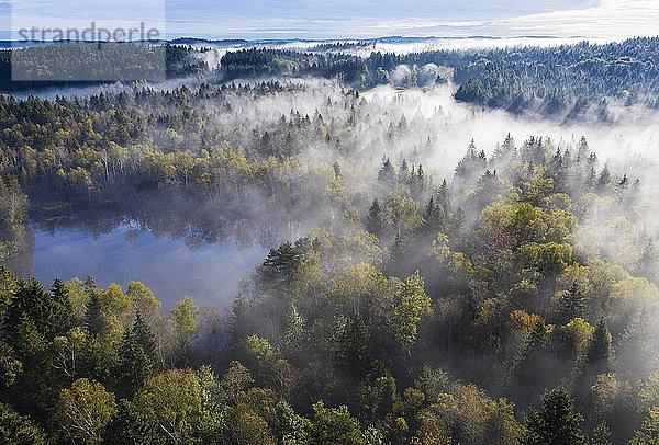 Nebelschwaden über Waldlandschaft und Weiher  Birkensee bei Geretsried  Drohnenaufnahme  Oberbayern  Bayern  Deutschland  Europa