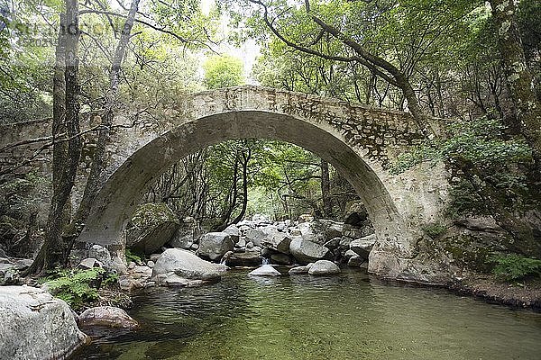 Genueser Brücke Pont de Zaglia in der Spelunca-Schlucht  Korsika  Frankreich  Europa