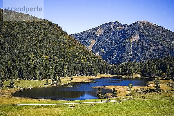 Bergsee  Seewaldsee  Tennengau  Bundesland Salzburg  Österreich  Europa