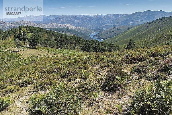 Peneda Geres National Park  Landschaft  Minho  Portugal  Europa