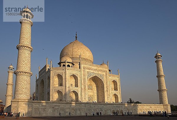Taj Mahal-Denkmal  Agra  Indien  Asien