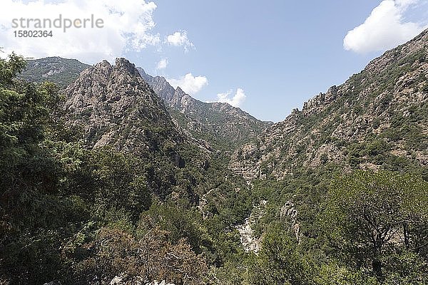 Berglandschaft im Zentrum Korsikas in der Nähe der Spelunca-Schlucht  Korsika  Frankreich  Europa