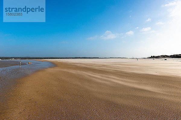 Sandverwehungen  NSG Amrum-Odde  Nordseeinsel Amrum  Nordfriesland  Schleswig-Holstein  Deutschland  Europa