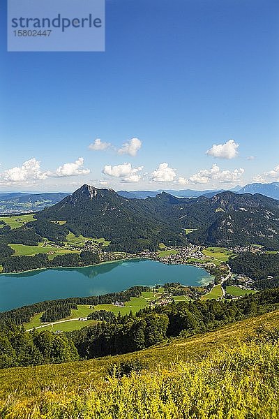 Fuschlsee  Blick vom Filbling auf Fuschl am See  Salzkammergut  Bundesland Salzburg  Österreich  Europa
