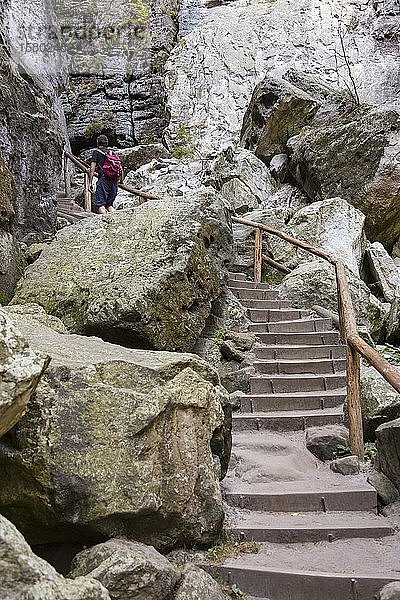 Wanderweg mit Stufen in den Schwedenlöchern  Aufstieg zur Bastei  Sächsische Schweiz  Sachsen  Deutschland  Europa