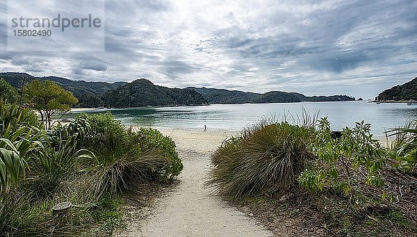 Strand  Anchorage Bay  Abel-Tasman National Park  Tasman  Südinsel  Neuseeland  Ozeanien