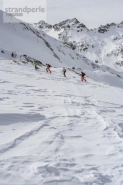 Skitourengeher im Schnee  in den hinteren Tarntaler Köpfen  Wattentaler Lizum  Tuxer Alpen  Tirol  Österreich  Europa