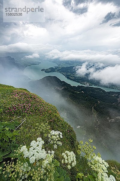 Wolkenbedeckter See  Blick auf den Mondsee vom Gipfel des Schafbergs  Salzkammergut  Salzburg  Österreich  Europa