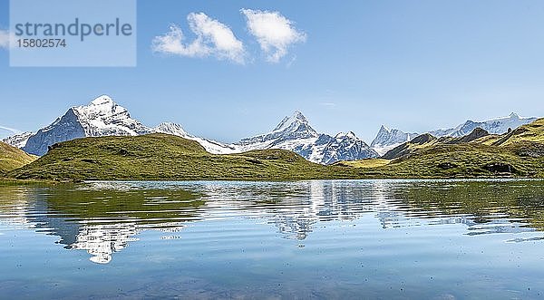 Die Gipfel Schreckhorn und Finsteraarhorn spiegeln sich im Bachalpsee  Grindelwald  Berner Oberland  Schweiz  Europa