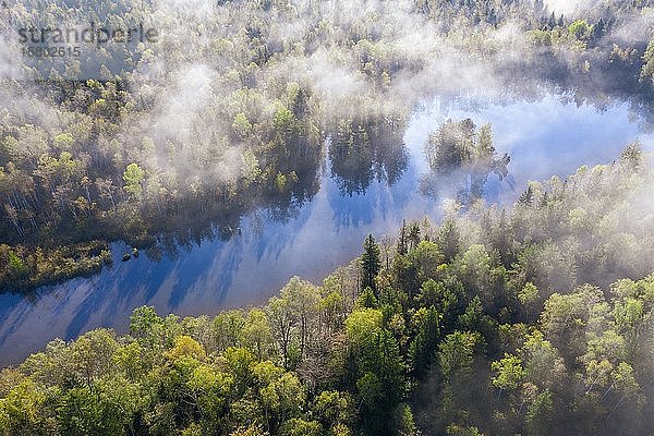 Nebelschwaden über Wald und Weiher  Birkensee bei Geretsried  Drohnenaufnahme  Oberbayern  Bayern  Deutschland  Europa