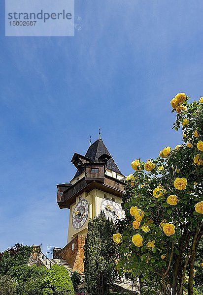 Rosengarten auf dem Schlossberg mit Uhrenturm  Graz  Steiermark  Österreich  Europa
