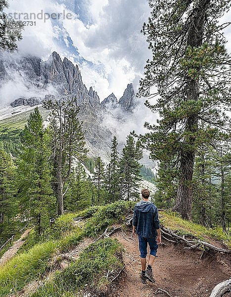 Junger Mann  Wanderer auf einem Wanderweg im Wald  in den hinteren Bergspitzen der Geislergruppe  Parco Naturale Puez Odle  Südtirol  Italien  Europa