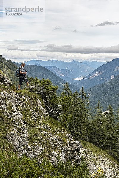 Wanderer schaut auf den Sylvenstein-Stausee  Tal in den Alpen  Wanderweg zum Soiernhaus  Lenggries  Bayern  Deutschland  Europa