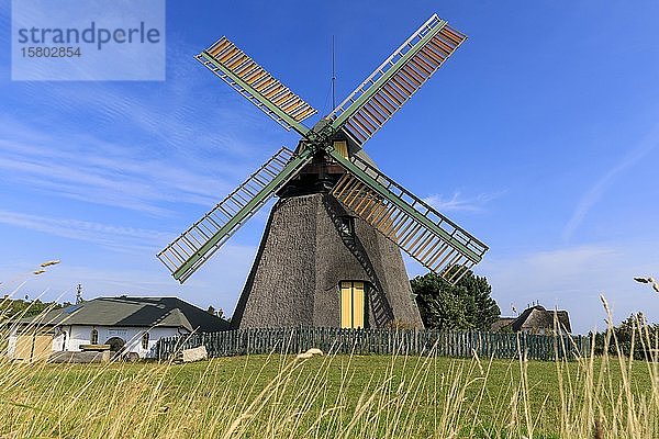 Windmühle Amrum auf der Insel Amrum  Nordsee  Nordfriesische Insel  Schleswig-Holstein  Deutschland  Europa