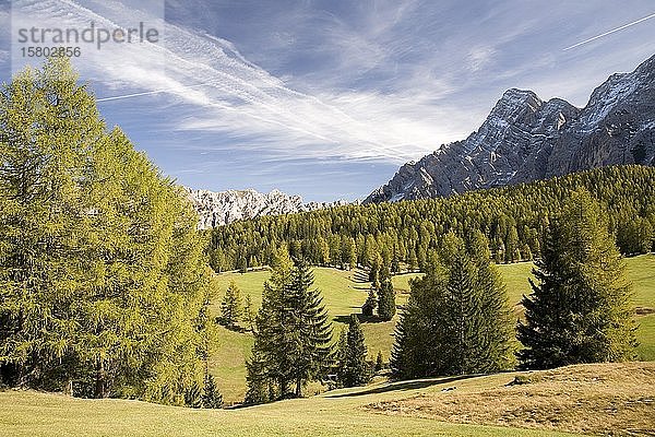 Herbst auf den Wiesen der Armentara  Dolomiten  Südtirol  Italien  Europa