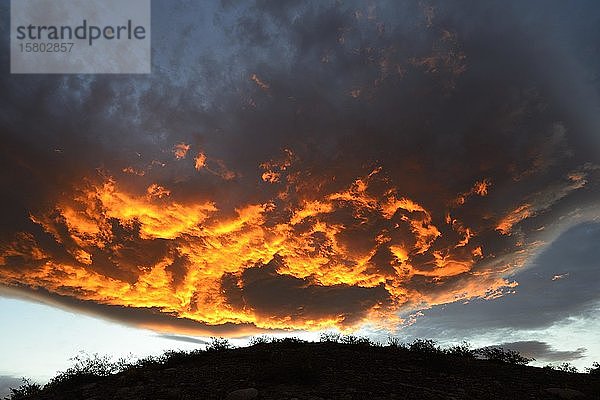 Brennende Wolken bei Sonnenuntergang  in der Nähe von Chos Malal  Provinz Neuquén  Patagonien  Argentinien  Südamerika