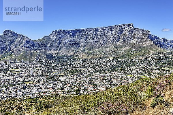 Tafelberg  Kapstadt  Südafrika  Afrika