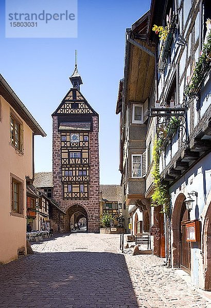 Fachwerkhäuser in der Altstadt mit Doldertorturm  Riquewihr  Elsass  Frankreich  Europa
