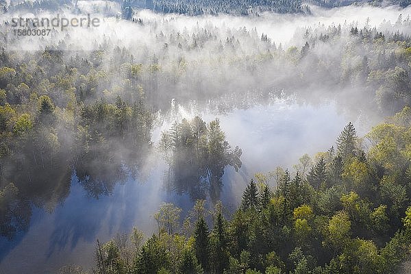 Nebelschwaden über Wald und Weiher  Birkensee bei Geretsried  Drohnenaufnahme  Oberbayern  Bayern  Deutschland  Europa